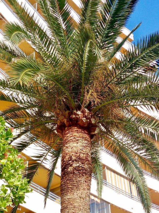 Ferienwohnung Voramar Calp Exterior foto